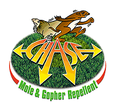 chase logo